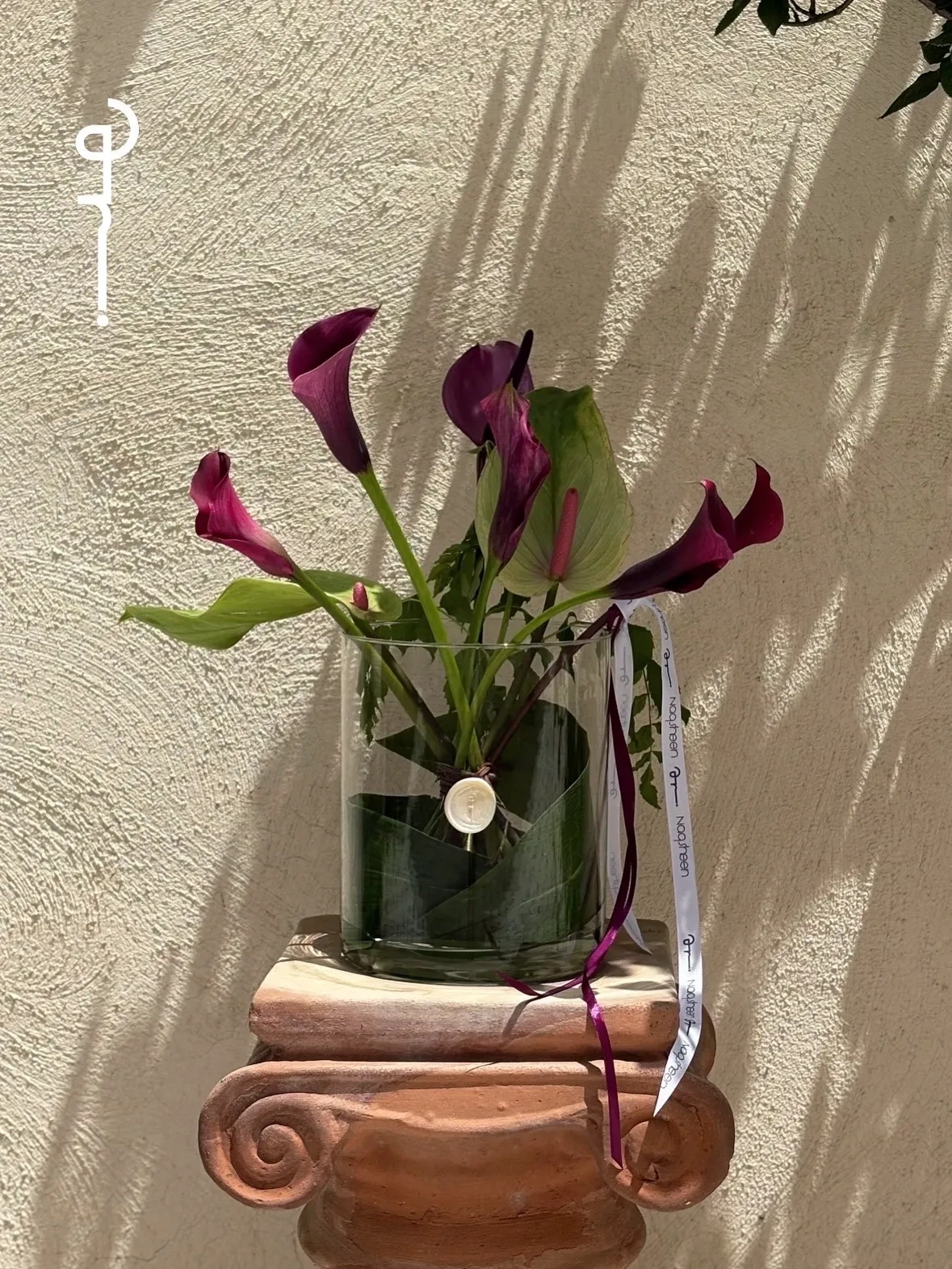 Collection 32